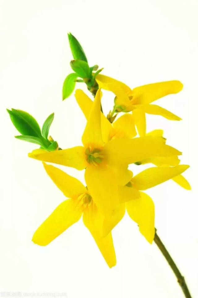 【4月5日】《往后余生》原唱歌手马良在太行