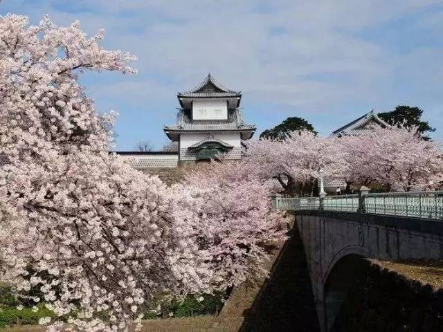 幾年前,我和花藝大師凌宗湧先生帶著一群熱愛花藝的學員來到日本金澤