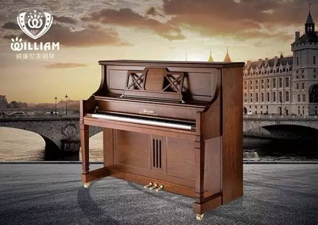 春季孩子报课学琴问题,这里全有!买琴低至8折,文末大福利快抢!_手机搜