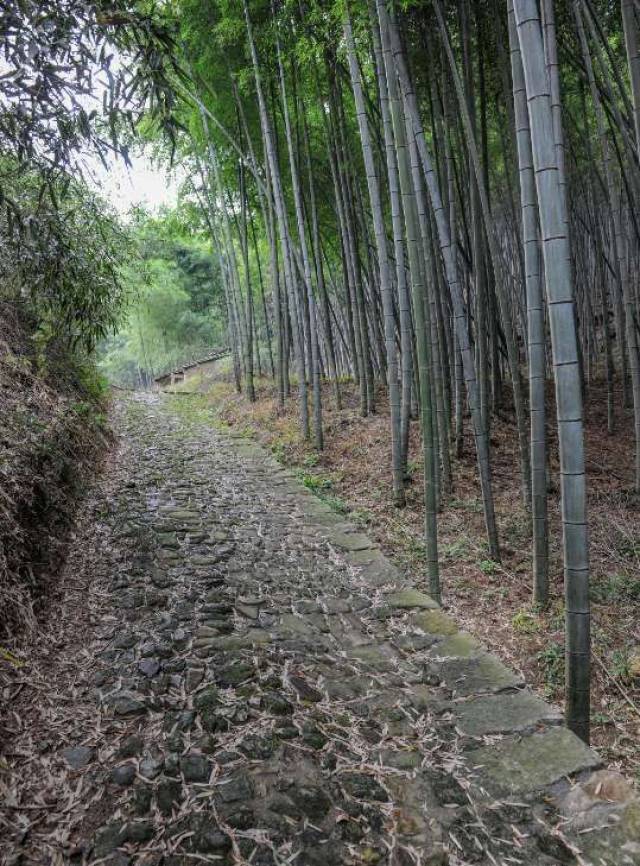 王坛镇上王村图片