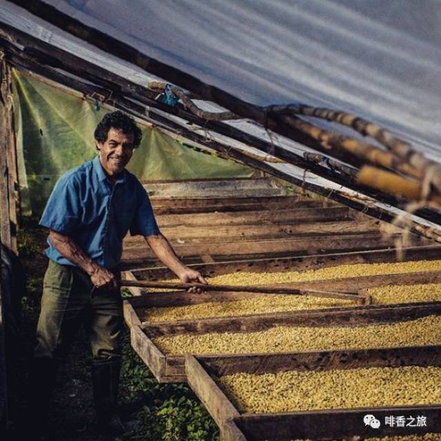 咖啡豆供应商的重要性与市场动态