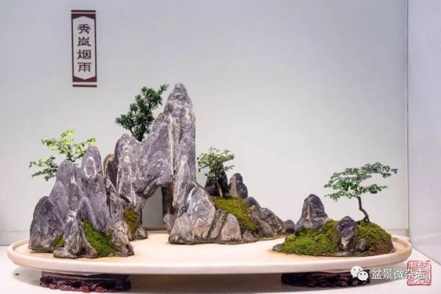 名家作品 典的山水盆景欣赏