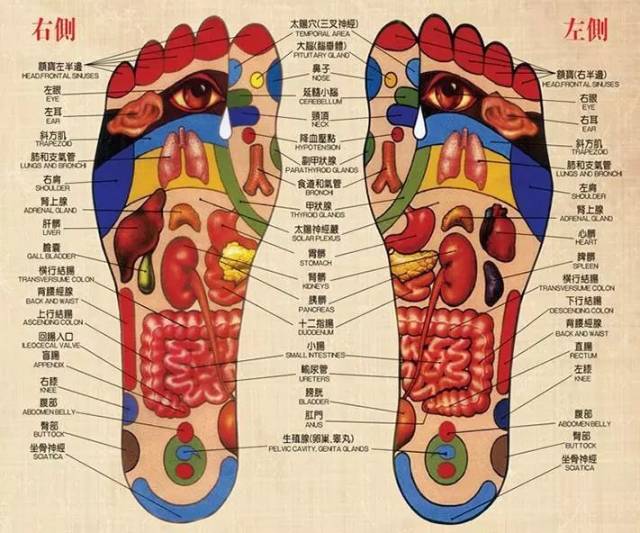 足贴贴敷于足底,足底的相关反射区受到刺激,血液循环得到促进,给皮下