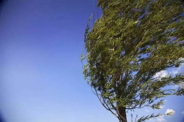 准备好风中凌乱了吗?7级大风正逼近湘潭