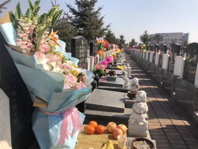 今年哈尔滨清明祭扫人群将再减 本周末出现祭扫高峰 提醒市民祭扫错开