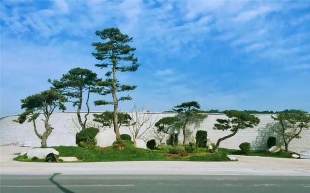 【人文动态】"中华始祖堂"落成开放 人文园林捐赠受表彰