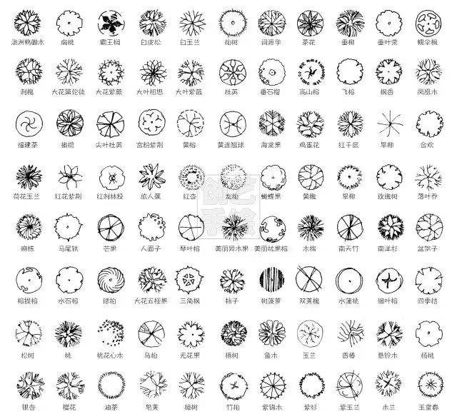 园林植物图例大全图片