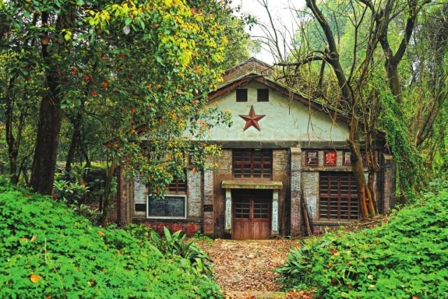 重庆:密林里的老房子 竟是抗战时期兵工厂_手机搜狐网