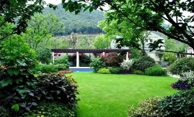 丛植植物配置,植物丛植,七株植物丛植(第13页)_大山谷图库