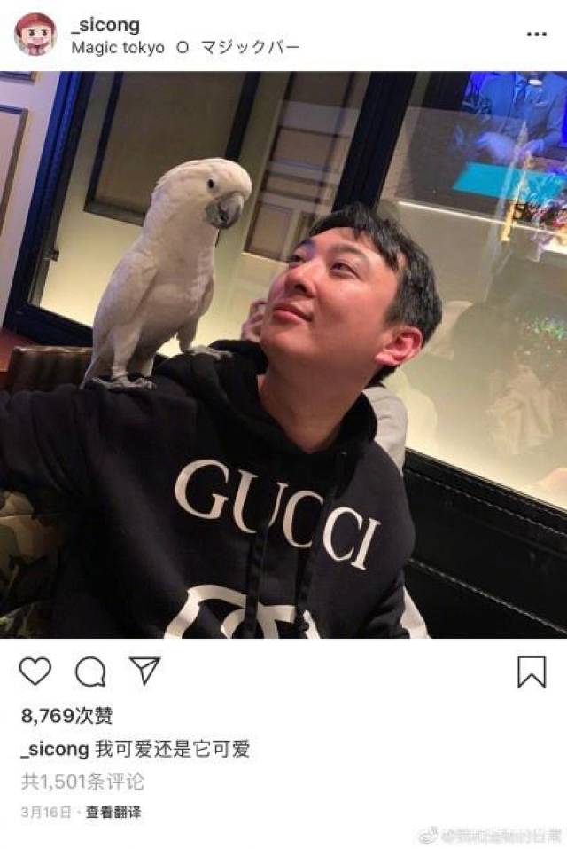 鹦鹉咬人怎么办：如何应对宠物鹦鹉的小毛牙