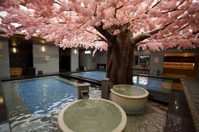 【夏威夷汤泉】豪华自助 洗浴汗蒸只要69元!儿童仅需39!