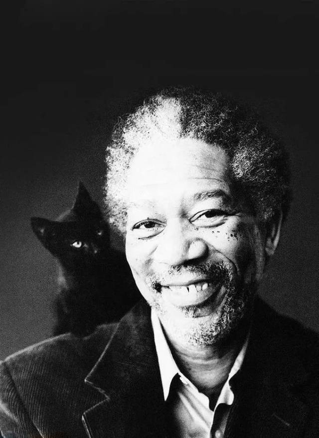 杰克·尼克尔森曾获奖项17次,提名41次,光奥斯卡奖项就获得3次; 男二