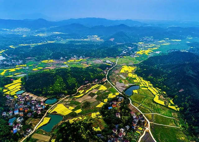 枞阳油菜花旅游宣传推广周暨美丽乡村摄影展启动