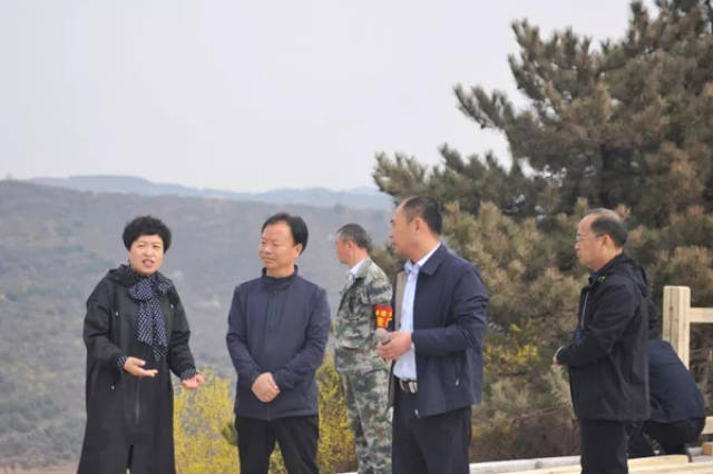 长子县人大常委会调研"金山银山文化旅游节"筹备情况