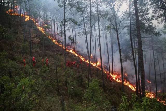森林救火,森林防火,救火_大山谷图库
