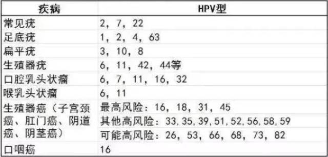 hpv類型導致的疾病