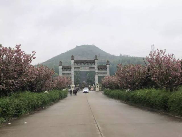 耒阳市青山陵园清明惠民便民活动促进殡改事业发展