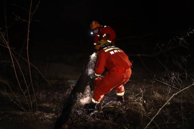 涼山救火英雄精神傳承隨州消防繼承遺志勇滅山林大火