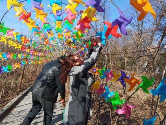 七台河市风车祈平安鲜花祭故人