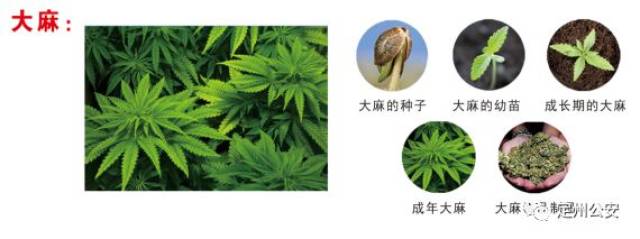 企业信息化建设的风云变幻