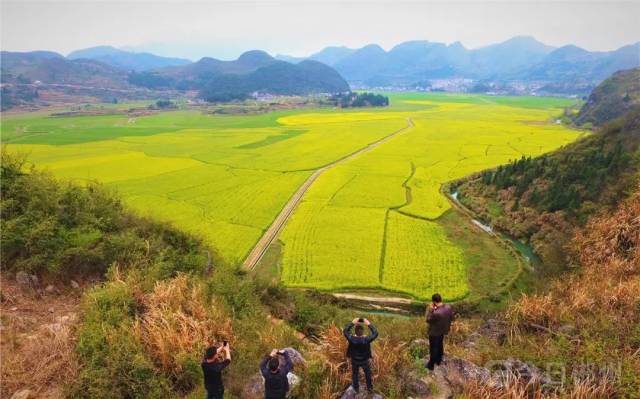 宜章县杨梅山镇平和洞油菜花基地