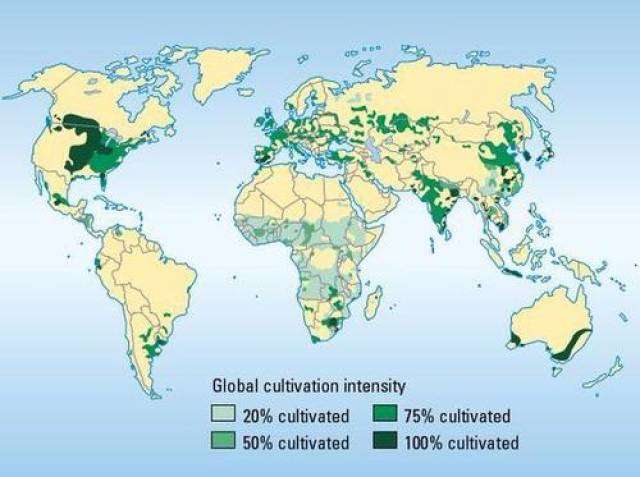 世界耕地面積排行榜前15,印度躍居世界第一,我國持續多年下降