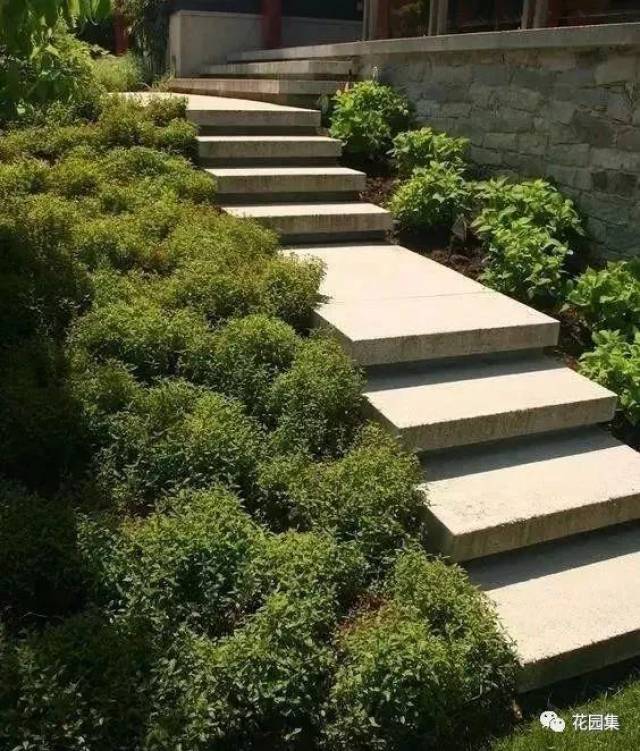 并希望让它看上去更好看,那么你可以选择: ○ 沿着台阶种植花坛