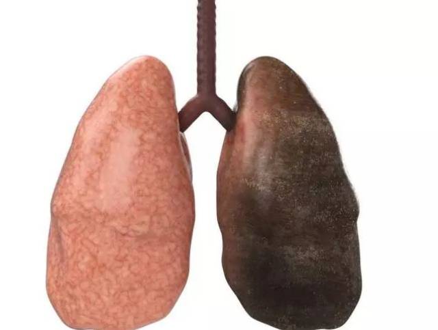 抽烟人的肺恐怖图片
