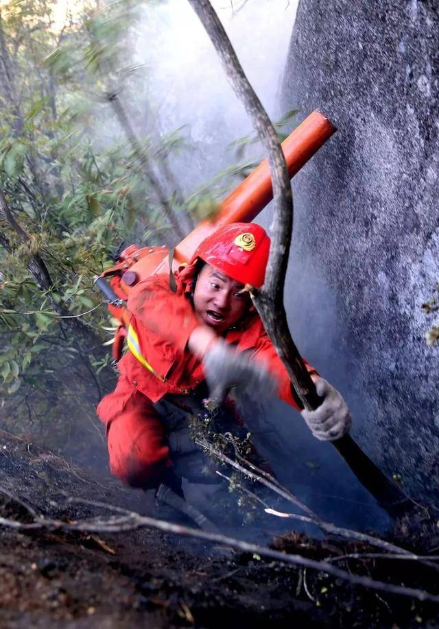 凉山救火英雄讲述生死瞬间:森林一分钟烧完,靠着坟墓休息
