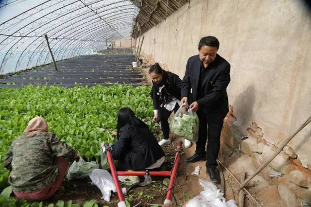 【我们的节日·清明】清明节走进张耀国先进事迹馆