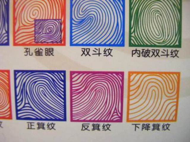 你知道什么是指纹心理学吗