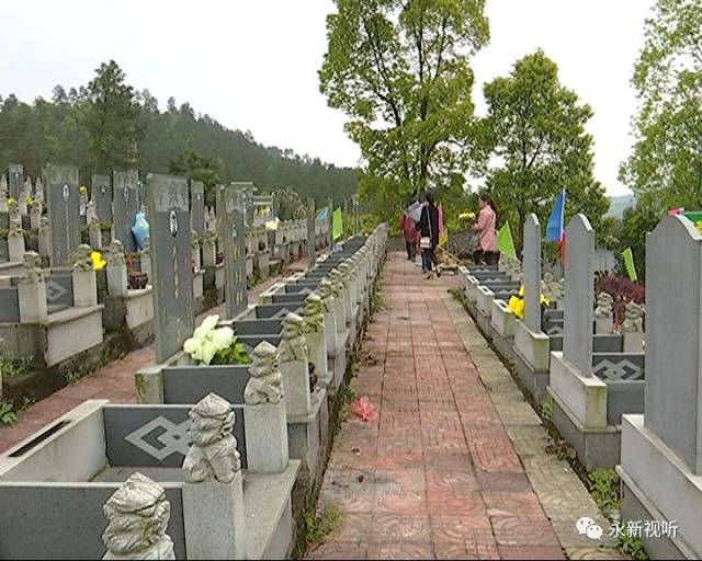 绿色清明 永新文明祭祀成主流