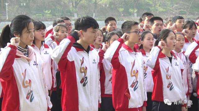 清明祭:缅怀英烈,青州人在行动……