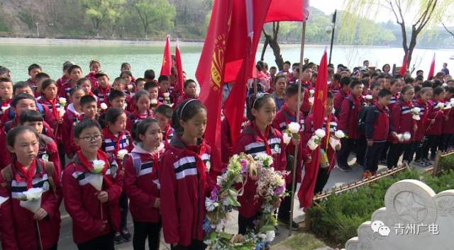 清明祭:缅怀英烈,青州人在行动……
