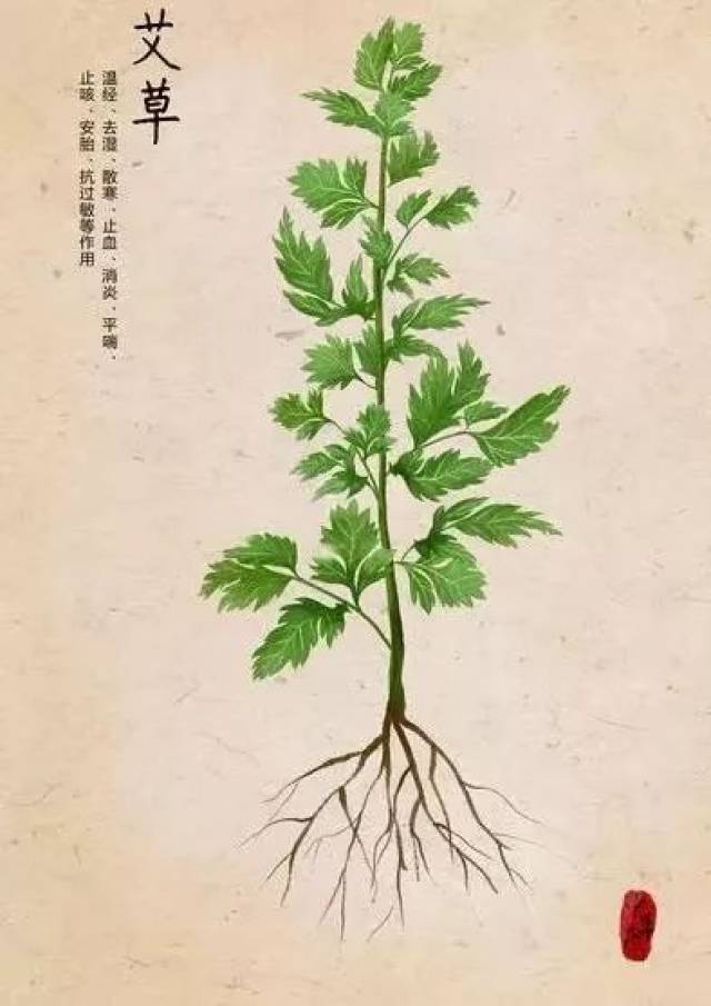 清明时节有一种草