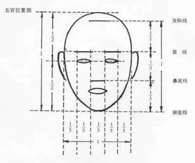 畫素描頭像的時候 正面頭像會有嚴格的三庭五眼的標準 其