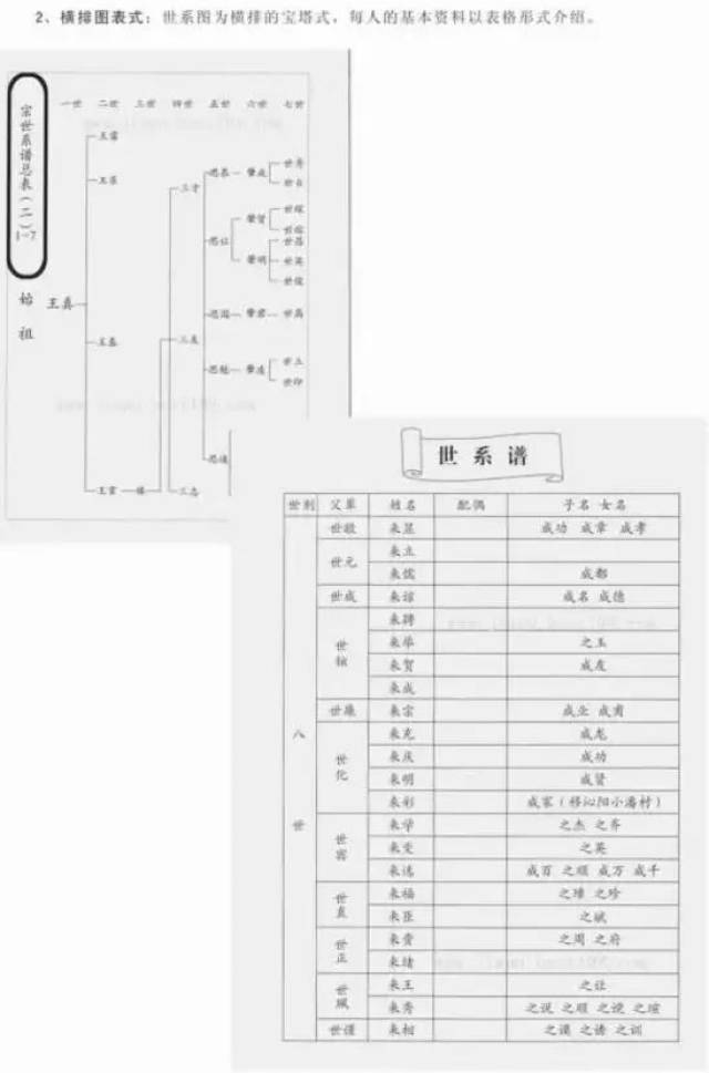 家譜格式大類比又漲知識了