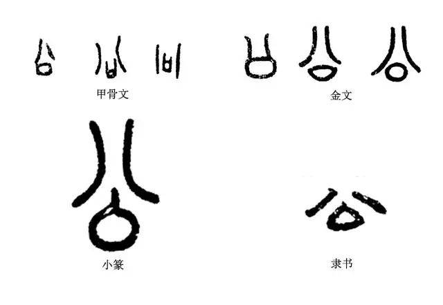《说文解字》第121课:成语"夙夜在公","公"是什么意思?
