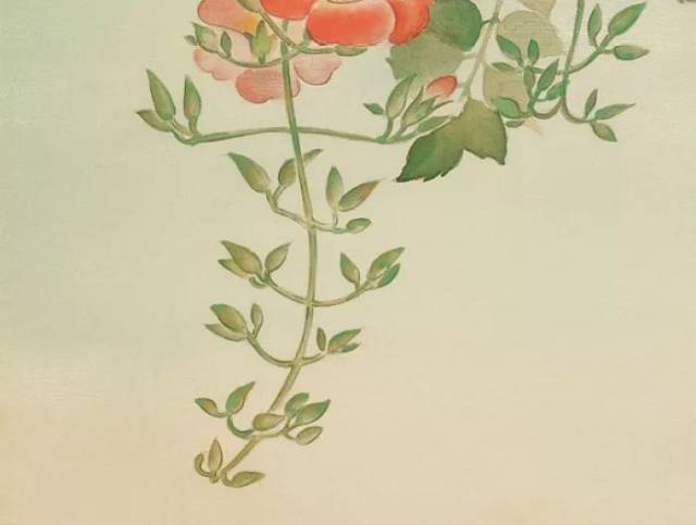 菊花清瘦杜秋娘. 净洗绿杯牵露井,聊荐幽香. 乌帽压吴霜.风力偏狂.