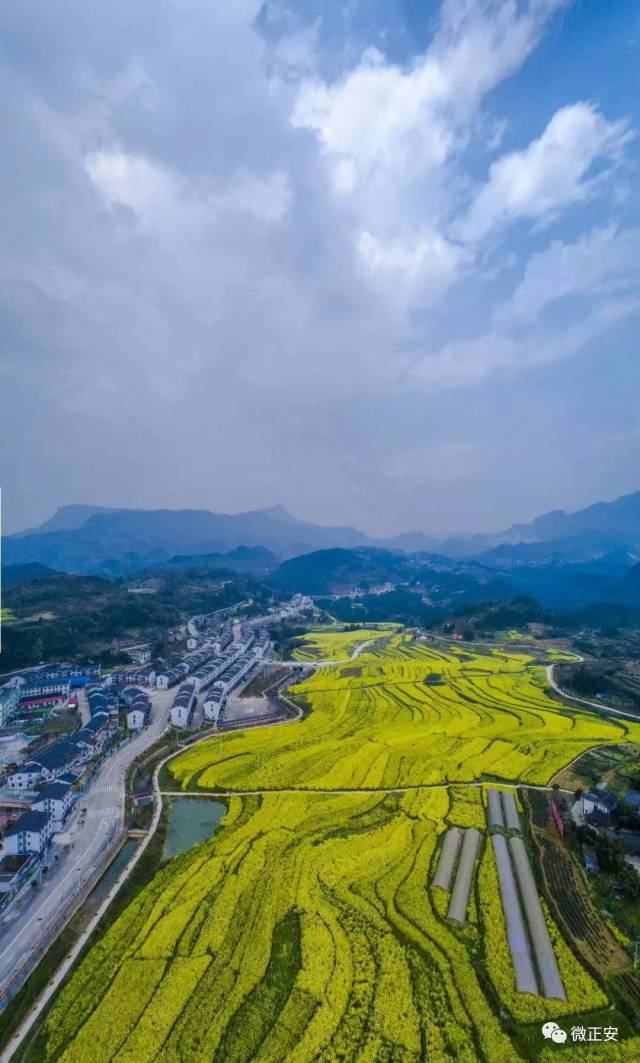 原標題:正安縣楊興鎮:修起一座跨界橋 激活一個貧困村王岑 ,靖曉燕 李