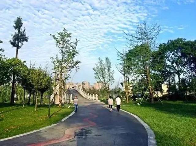 打卡双流这几条高颜值绿道!专治你的假期后遗症