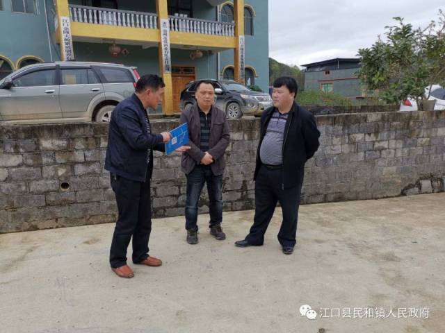 龙晓成到民和镇调研500亩坝区产业推进情况