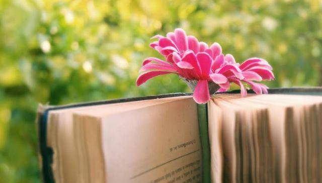 骨子里傲气横生,只会妥协不会服软的星座