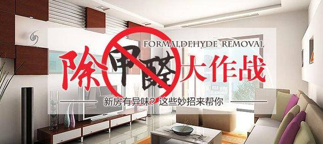 除甲醛哪个牌子好？2023年行业动态解读