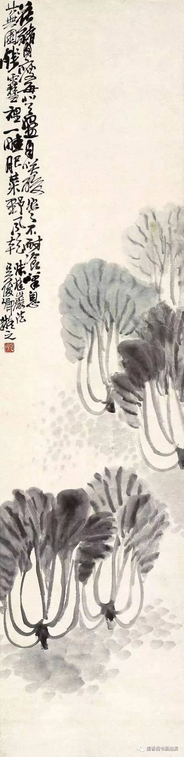 吳昌碩 白菜圖 近现代名家笔下的白菜，百看不厌！_搜狐网