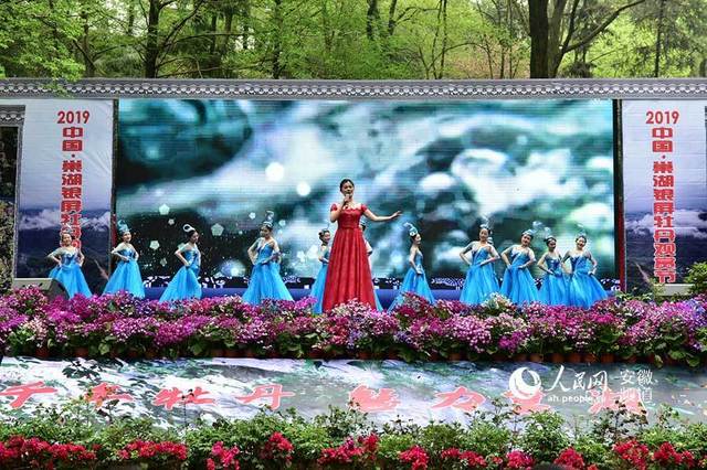 2019中国·巢湖银屏牡丹观赏节开幕