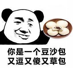 你是一个豆沙包,又豆又傻又草包