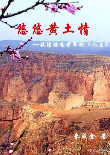 黄土情文化