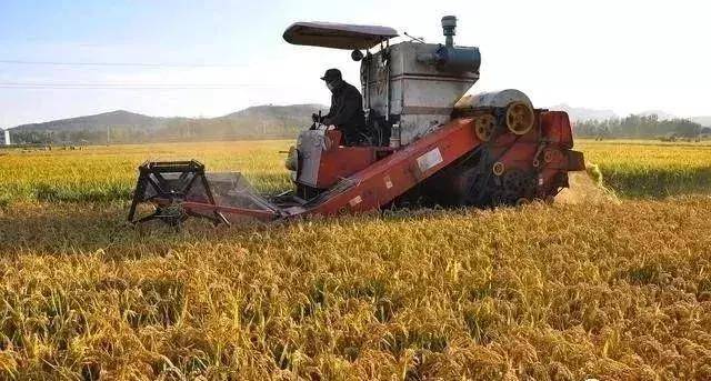 三农政策的具体指什么,对农民有什么惠民