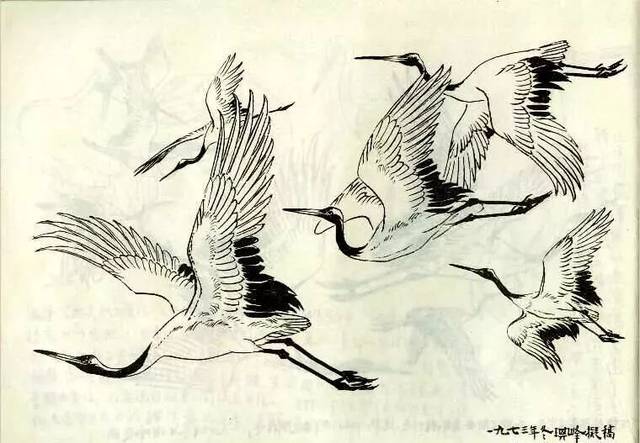 飞鹤动态要有变化,各鹤之间要有顾盼呼应,远鹤(小的)用笔要简括些.
